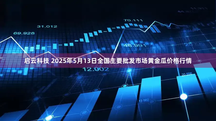 启云科技 2025年5月13日全国主要批发市场黄金瓜价格行情